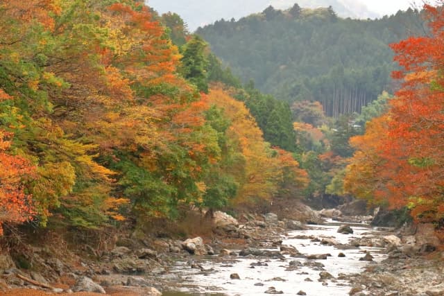 秋川渓谷の紅葉