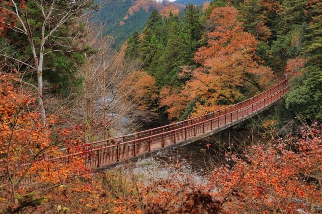 秋川渓谷の紅葉