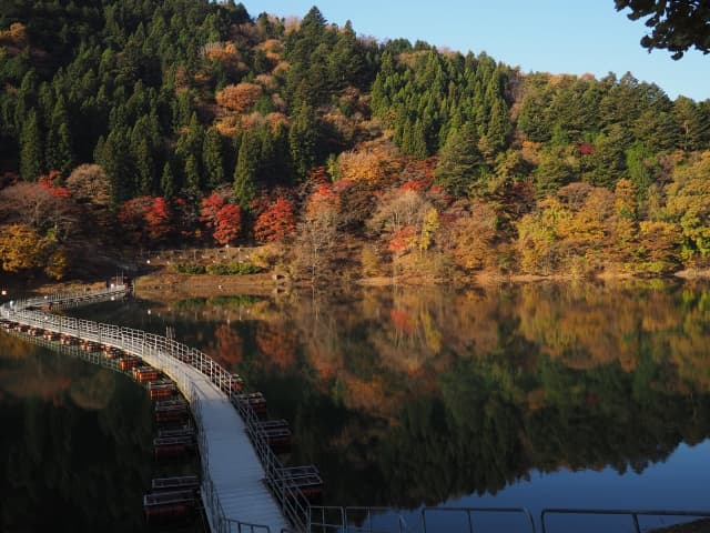 奥多摩湖の紅葉