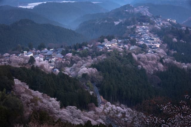 吉野山