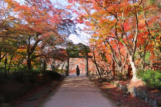 宝満宮竈門神社