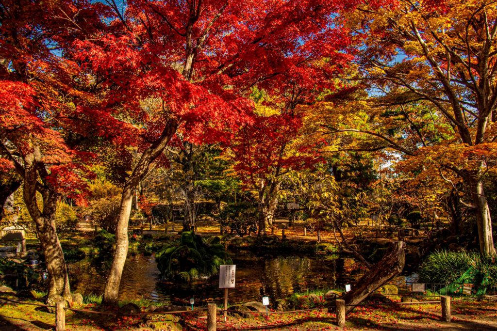 小諸城址懐古園