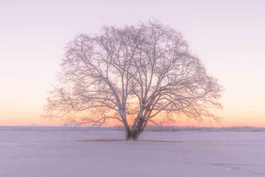 雪景色撮影方法