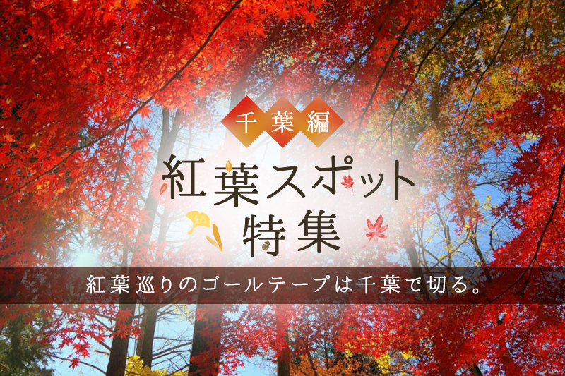 千葉県の紅葉スポットおすすめTOP10!見頃時期もチェック