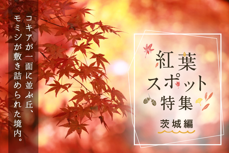 茨城県の人気紅葉スポットTOP5!見頃時期もチェック