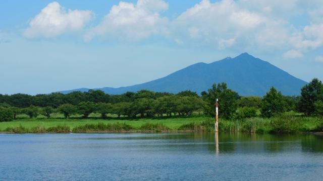 母子島遊水地