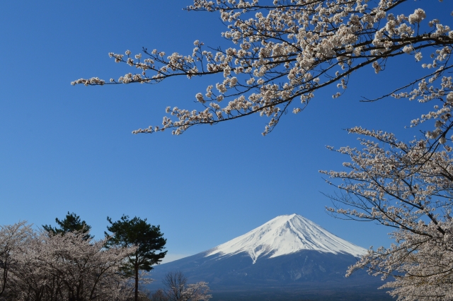 長崎公園
