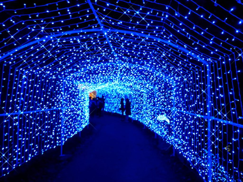 神奈川県のイルミネーションスポット 22 23 Top9 Goopass Travel Magazine