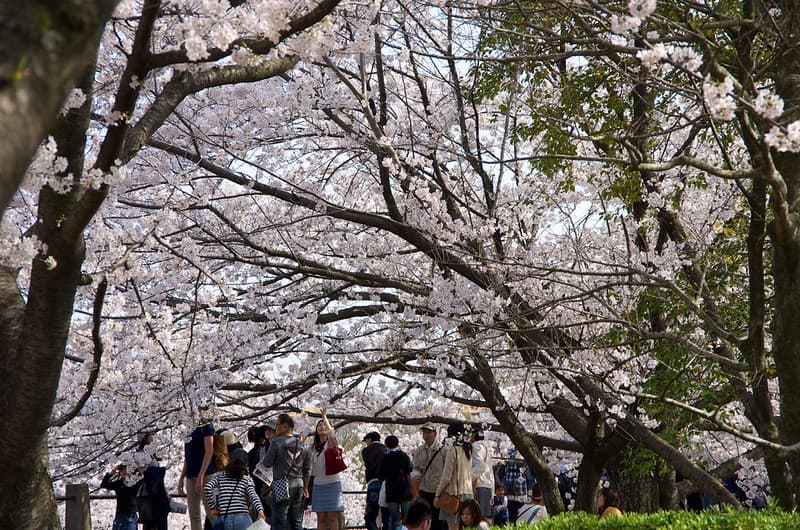 舞鶴公園