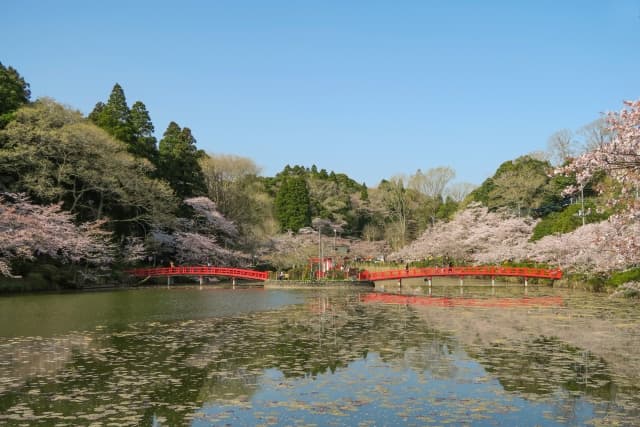 茂原公園