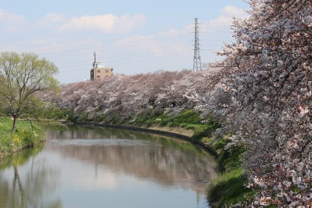 元荒川