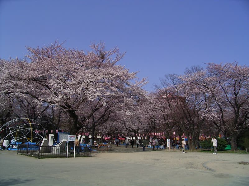 西公園