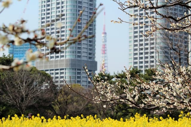 浜離宮恩賜庭園