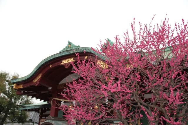 亀戸天神社
