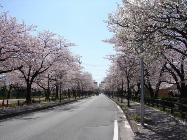 岩槻城址公園