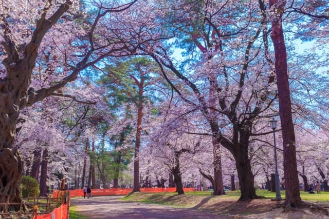 大宮公園