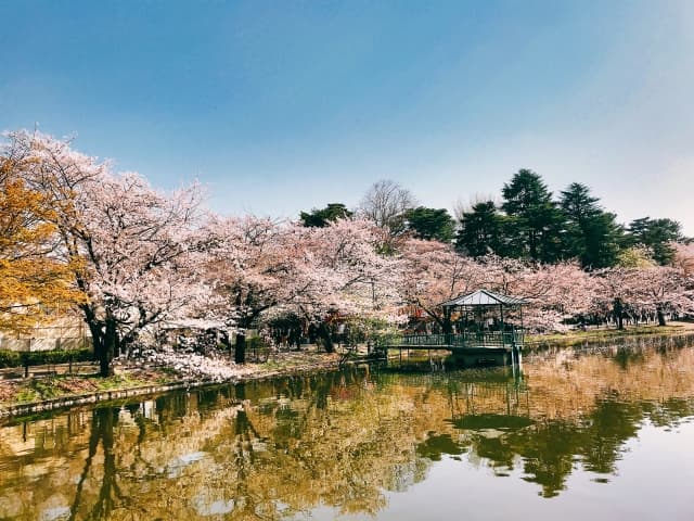 大宮公園