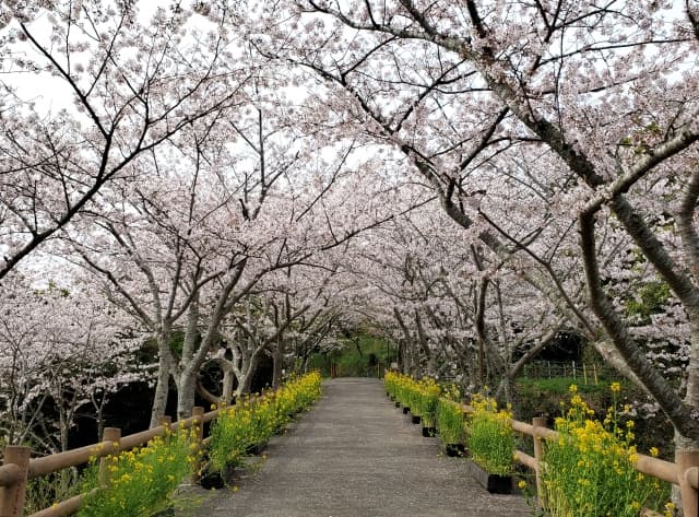 城山公園