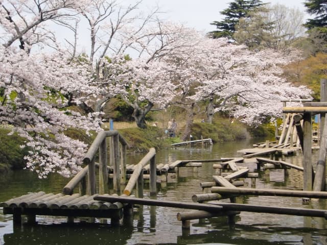 清水公園