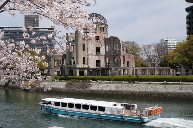 平和記念公園 桜