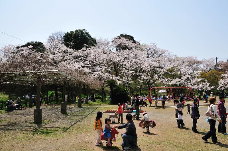 甘木公園