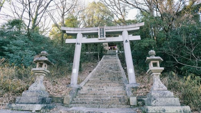 兵庫県の開運パワースポット10選！撮影にもオススメな神社や自然を紹介 