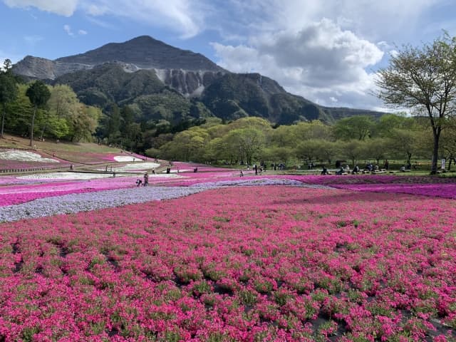 羊山公園