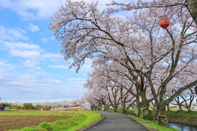 五条川