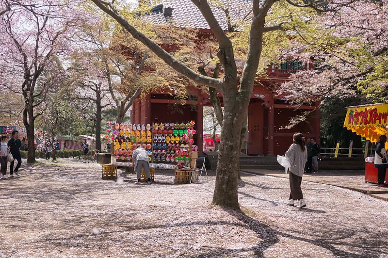 清水公園