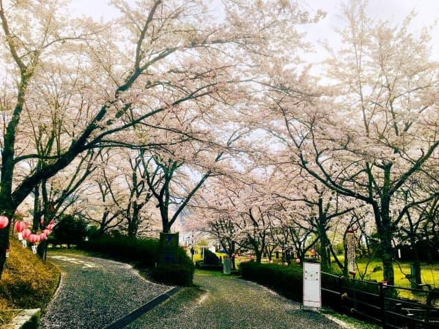 八千代湖 のどごえ公園