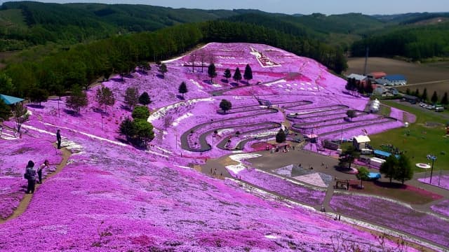 ひがしもこと芝桜公園