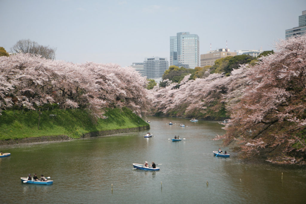 千鳥ヶ淵公園