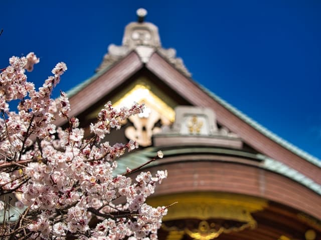 湯島天神