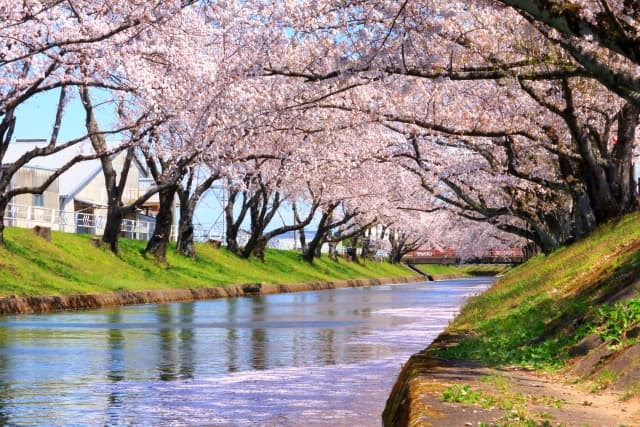 五条川