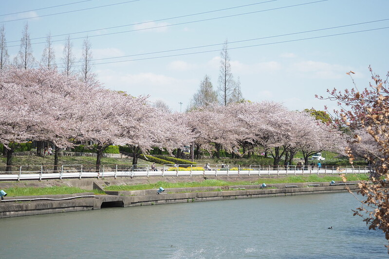 荒子川公園