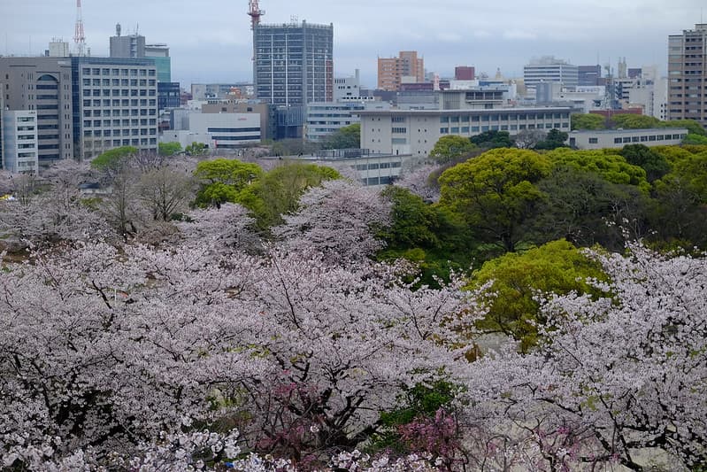 舞鶴公園