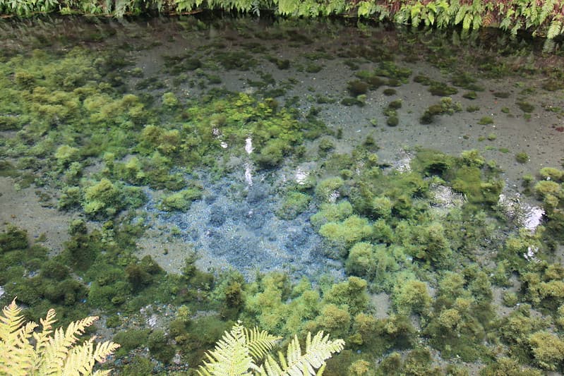 白川水源