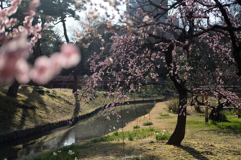 小石川後楽園