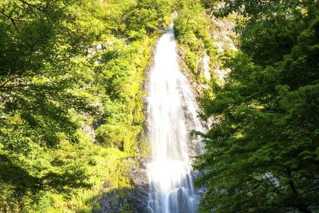 兵庫県の開運パワースポット10選！撮影にもオススメな神社や自然を紹介 