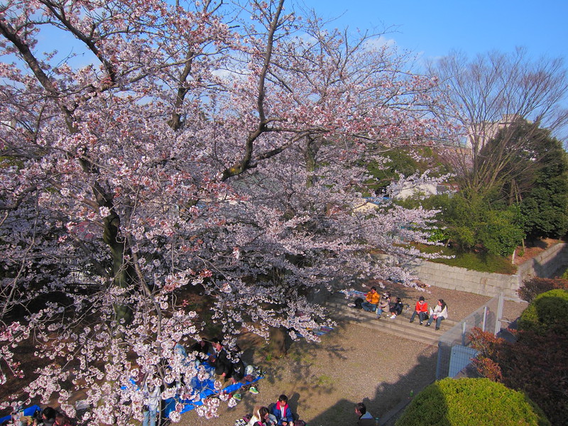亥鼻公園