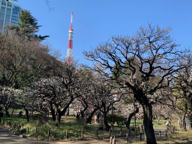 港区立芝公園 銀世界