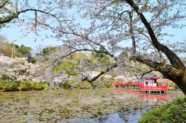 茂原公園