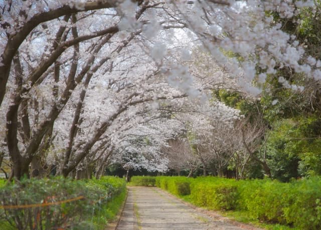 庄内緑地公園