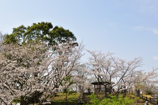 あけぼの山農業公園