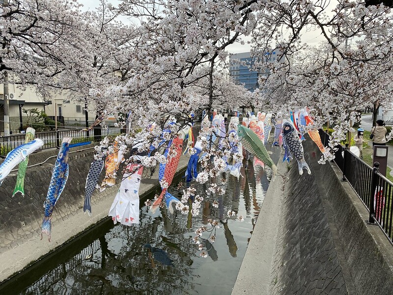 大江川緑道