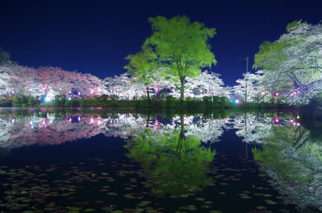 茂原公園