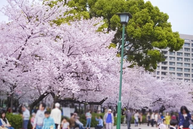 鶴舞公園