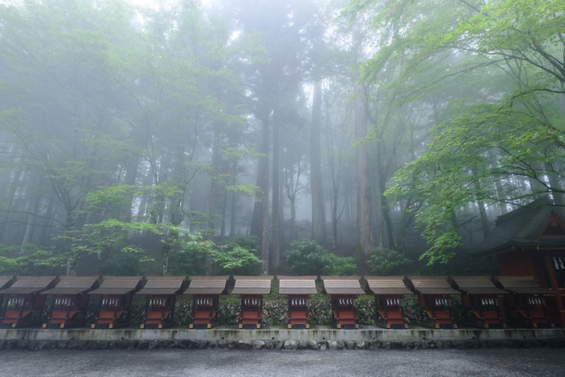 埼玉県の映えるパワースポット10選 自然豊かなスポットで運気アップ