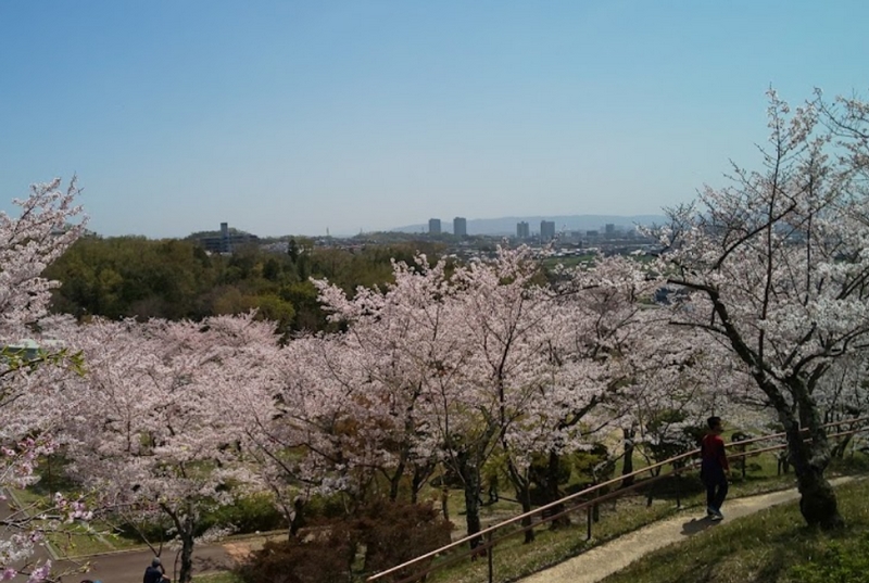 摂津峡公園