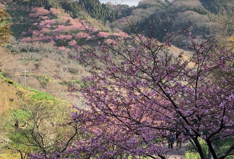 佐久間ダム湖親水公園